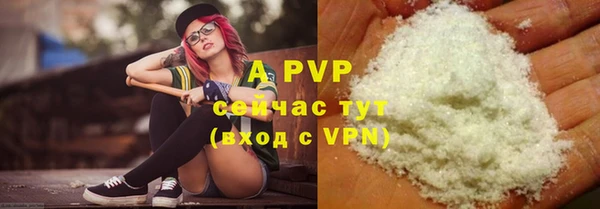 стафф Карпинск