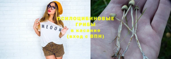 стафф Карпинск