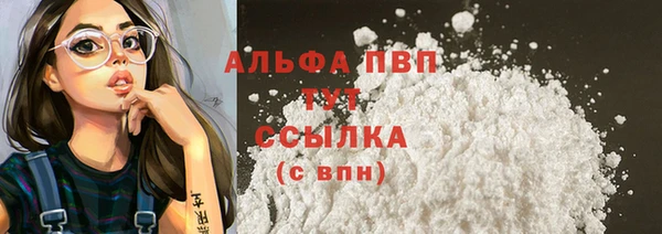 стафф Карпинск